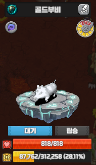 더이상 골드가 아니다..백설부이비